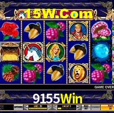 Provedores de Jogos 9155Win